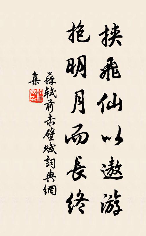 苏轼挟飞仙以遨游，抱明月而长终。书法作品欣赏