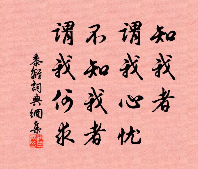 佚名知我者,谓我心忧;不知我者,谓我何求。书法作品欣赏