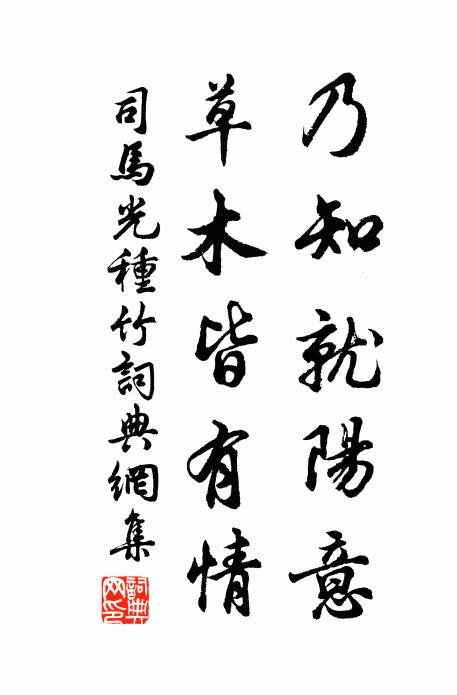 司马光乃知就阳意，草木皆有情书法作品欣赏