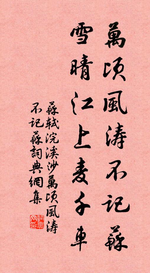 苏轼万顷风涛不记苏。雪晴江上麦千车。书法作品欣赏