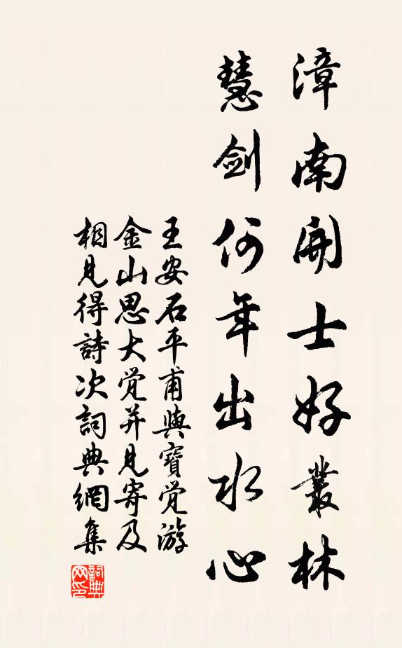 王安石漳南开士好丛林，慧剑何年出水心书法作品欣赏