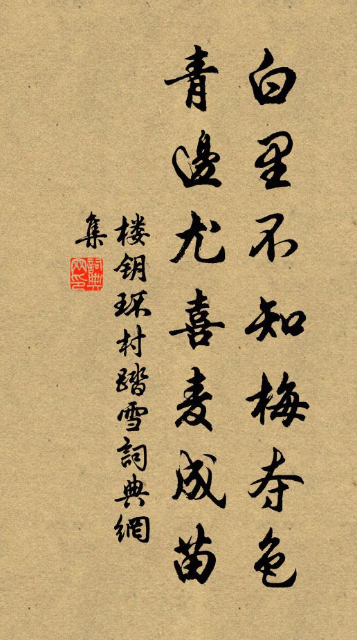 楼钥白里不知梅夺色，青边尤喜麦成苗书法作品欣赏