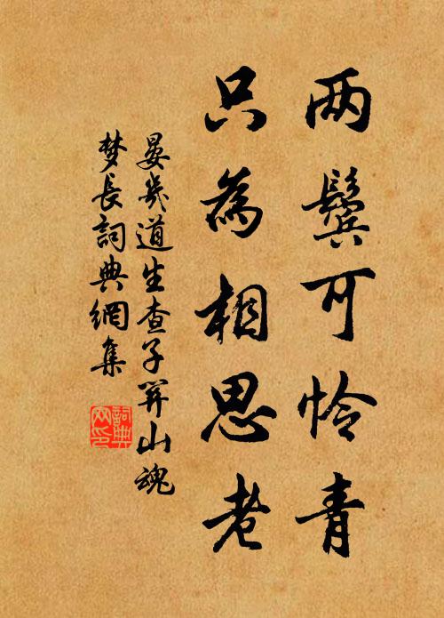 晏几道两鬓可怜青,只为相思老。书法作品欣赏