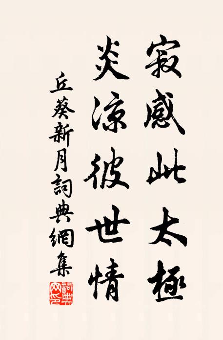 丘葵寂感此太极，炎凉彼世情书法作品欣赏