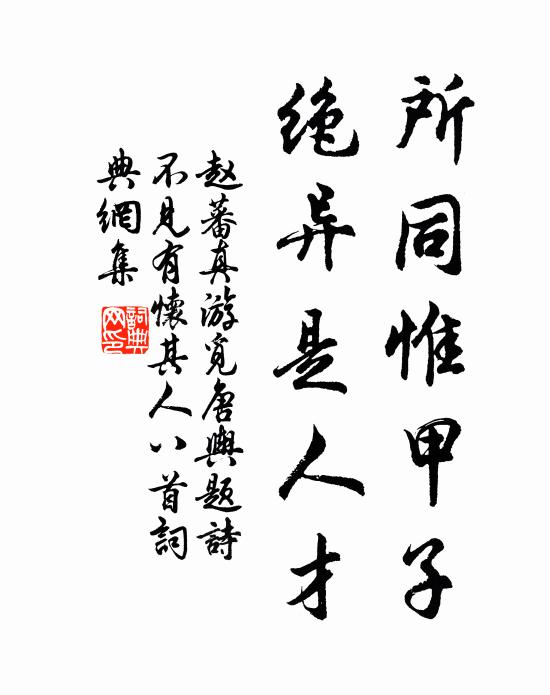 赵蕃所同惟甲子，绝异是人才书法作品欣赏