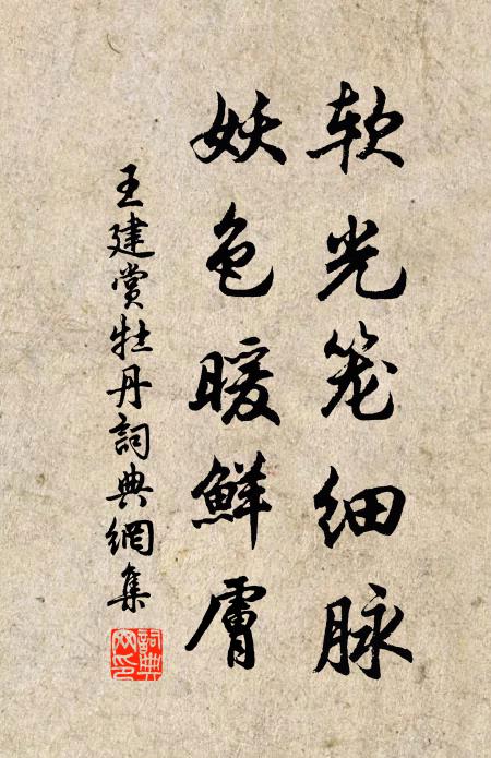 王建软光笼细脉，妖色暖鲜肤书法作品欣赏