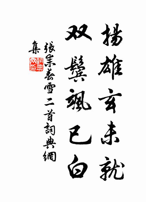 张耒扬雄玄未就，双鬓飒已白书法作品欣赏