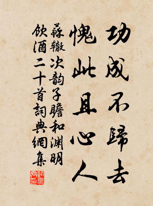 苏辙功成不归去，愧此且心人书法作品欣赏