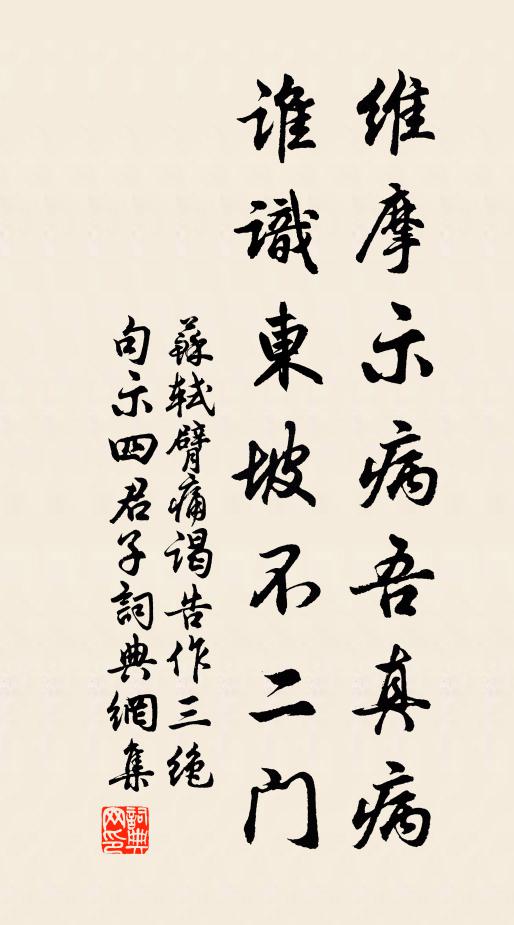 苏轼维摩示病吾真病，谁识东坡不二门书法作品欣赏