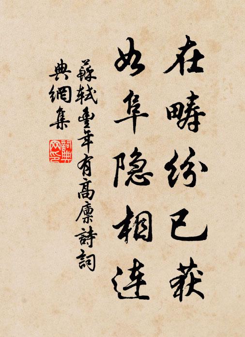 苏轼在畴纷已获，如阜隐相连书法作品欣赏