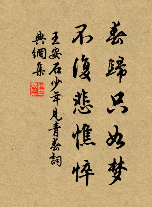 王安石春归只如梦，不复悲憔悴书法作品欣赏