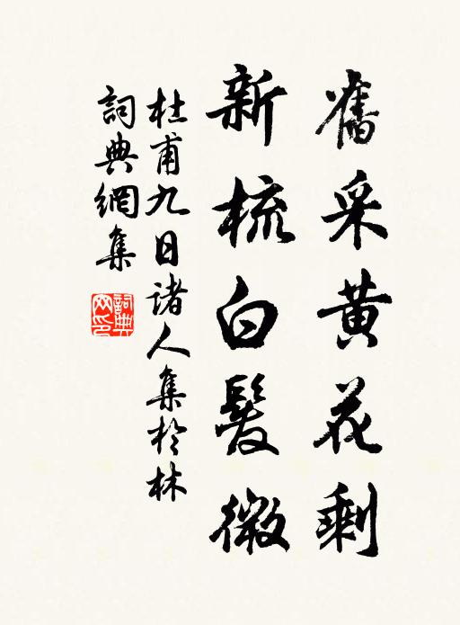 杜甫旧采黄花剩，新梳白发微书法作品欣赏