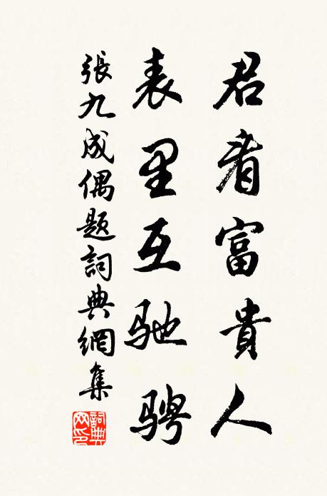 张九成君看富贵人，表里互驰骋书法作品欣赏
