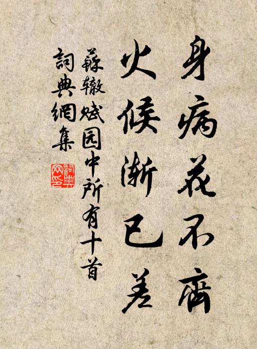 苏辙身病花不齐，火候渐已差书法作品欣赏