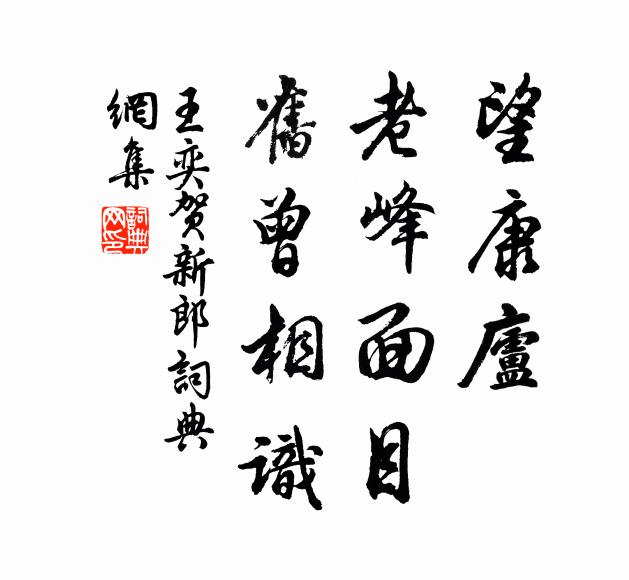王奕望康庐、老峰面目，旧曾相识书法作品欣赏