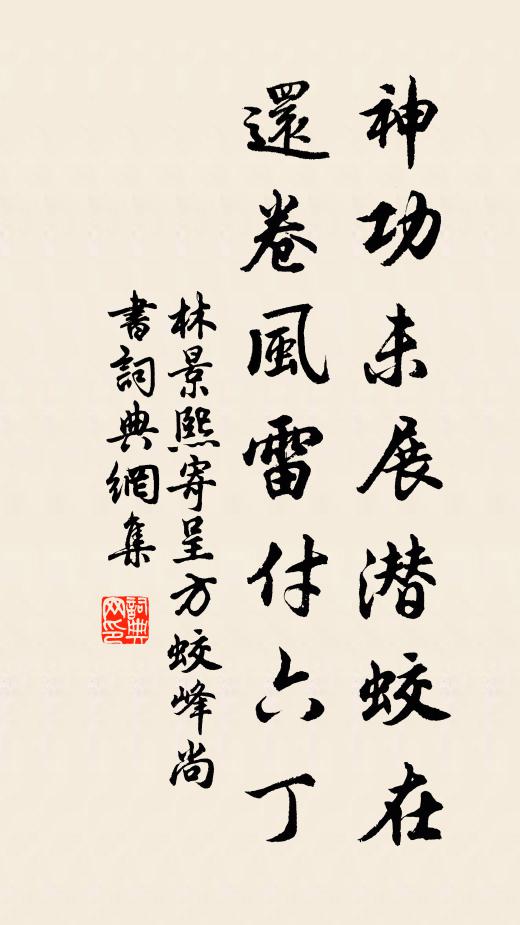 林景熙神功未展潜蛟在，还卷风雷付六丁书法作品欣赏