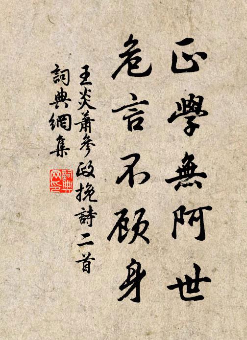 王炎正学无阿世，危言不顾身书法作品欣赏