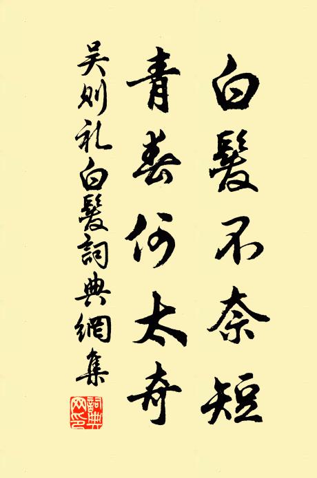 吴则礼白发不奈短，青春何太奇书法作品欣赏