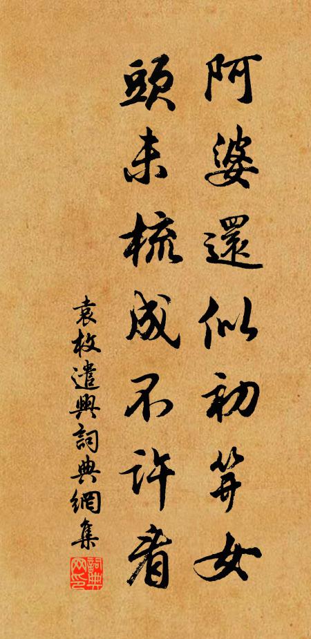 袁枚阿婆还似初笄女，头未梳成不许看。书法作品欣赏
