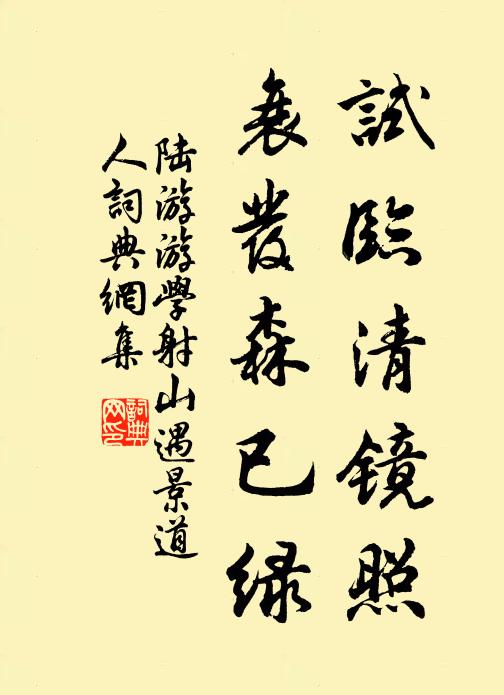 陆游试临清镜照，衰发森已绿书法作品欣赏