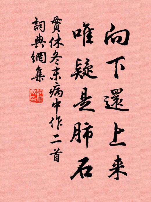 贯休向下还上来，唯疑是肺石书法作品欣赏