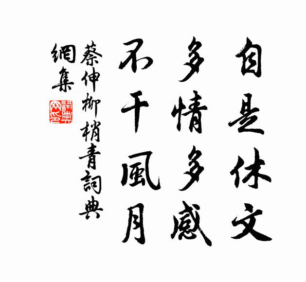 蔡伸自是休文，多情多感，不干风月书法作品欣赏