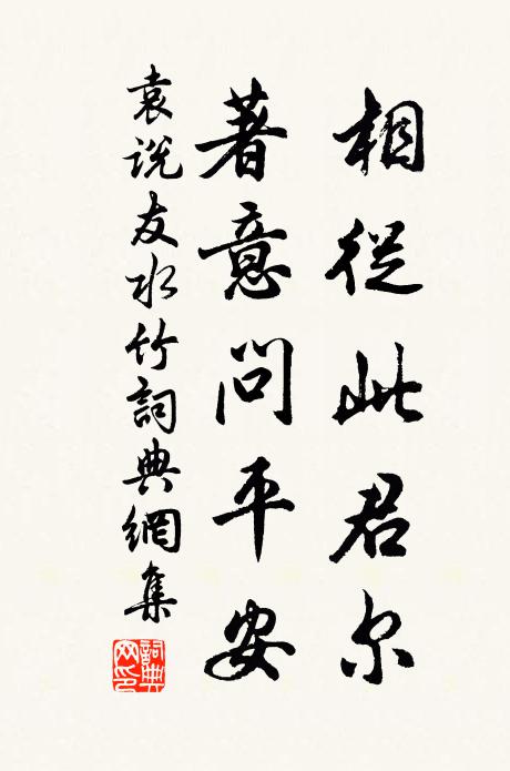 袁说友相从此君尔，著意问平安书法作品欣赏