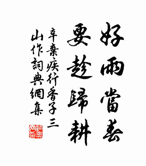 辛弃疾好雨当春，要趁归耕书法作品欣赏