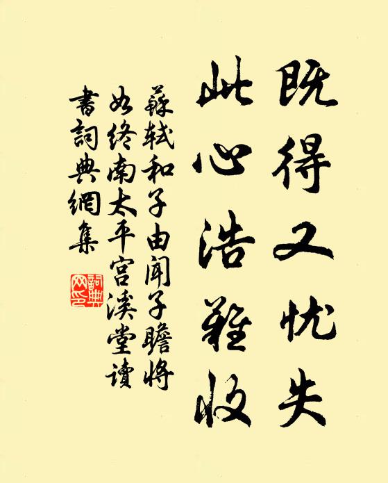 苏轼既得又忧失,此心浩难收书法作品欣赏
