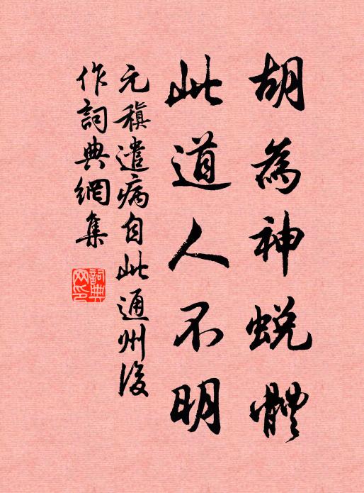 元稹胡为神蜕体，此道人不明书法作品欣赏