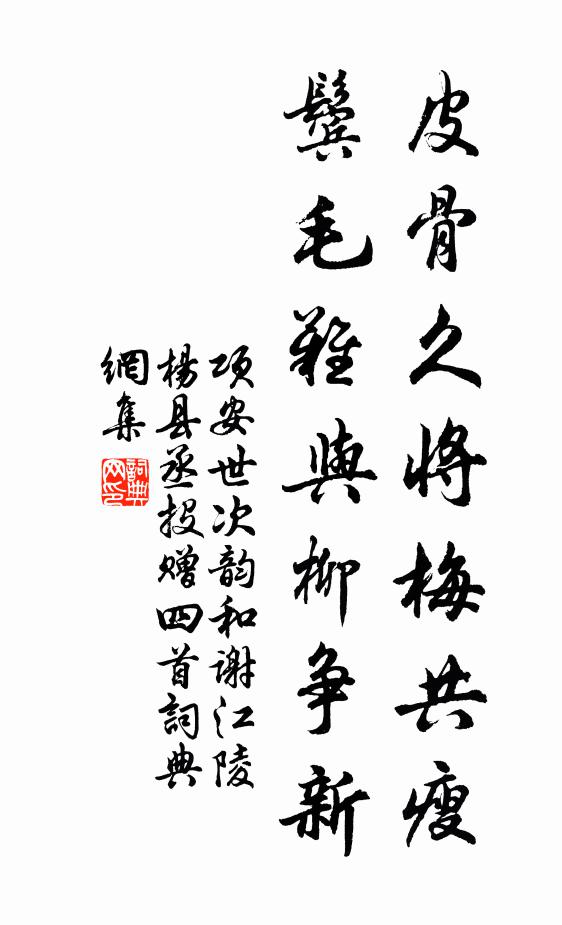 项安世皮骨久将梅共瘦，鬓毛难与柳争新书法作品欣赏