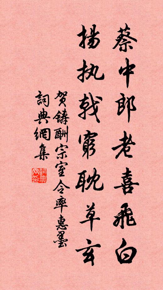 贺铸蔡中郎老喜飞白，扬执戟穷耽草玄书法作品欣赏