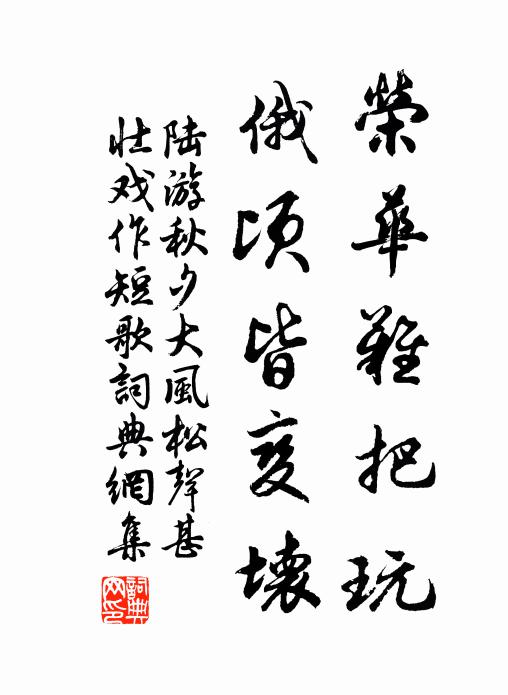 陆游荣华难把玩，俄顷皆变坏书法作品欣赏