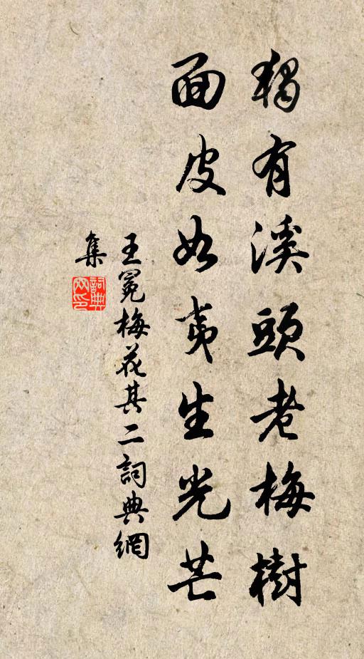 王冕独有溪头老梅树，面皮如夷生光芒书法作品欣赏