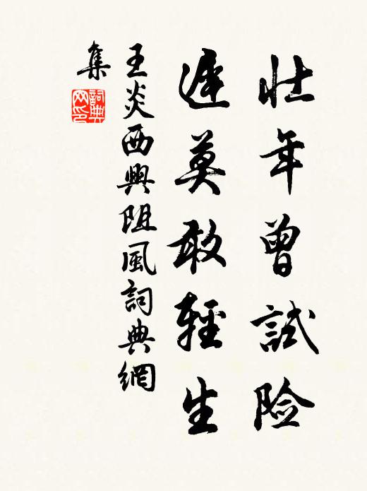 王炎壮年曾试险，迟莫敢轻生书法作品欣赏