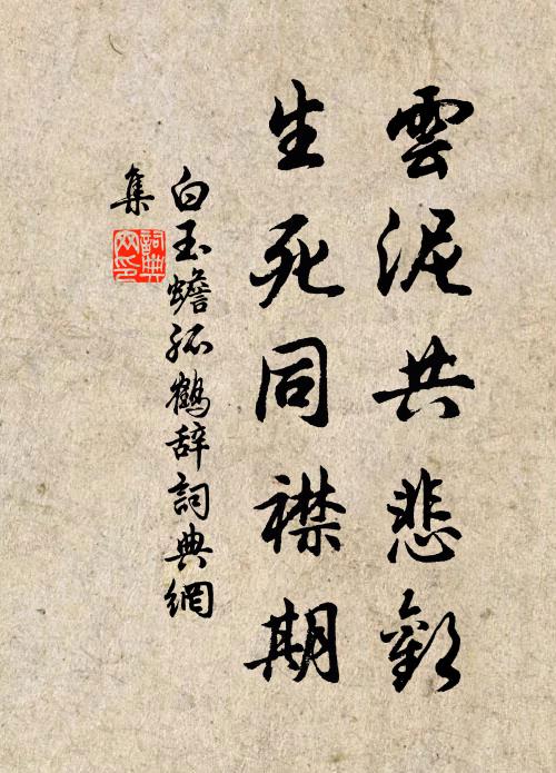 白玉蟾云泥共悲欢，生死同襟期书法作品欣赏