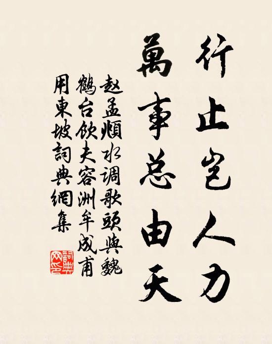 赵孟頫行止岂人力，万事总由天书法作品欣赏
