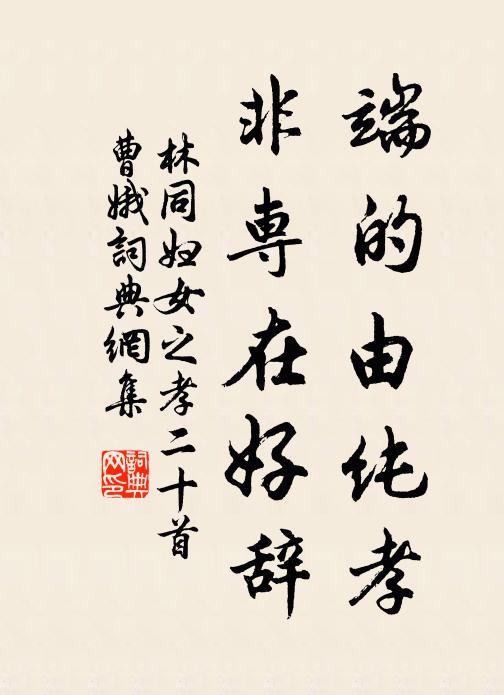 林同端的由纯孝，非专在好辞书法作品欣赏