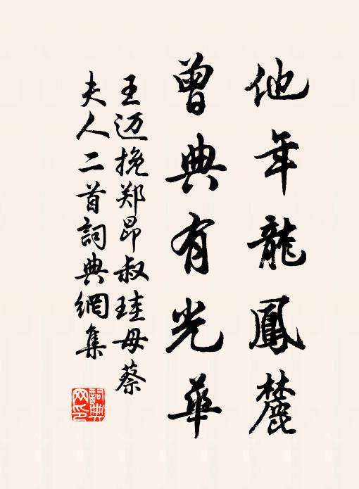 王迈他年龙凤麓，曾典有光华书法作品欣赏