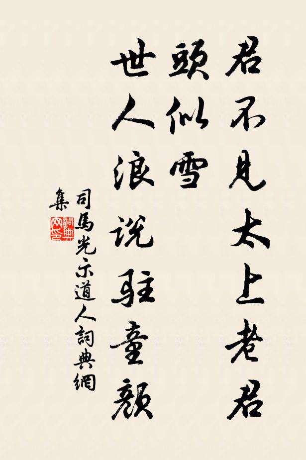 司马光君不见太上老君头似雪，世人浪说驻童颜书法作品欣赏