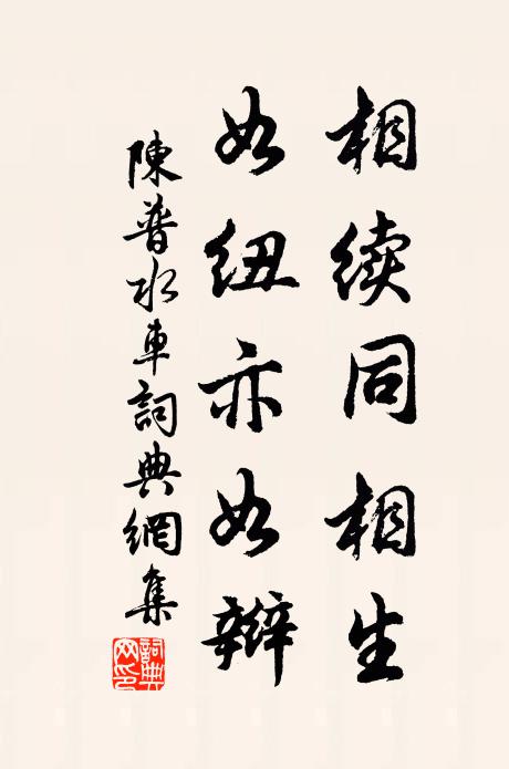 陈普相续同相生,如纽亦如辫书法作品欣赏