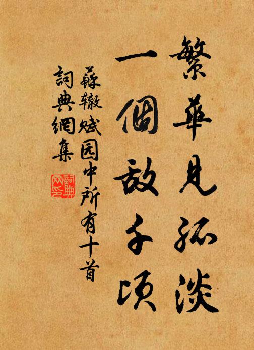 苏辙繁华见孤淡，一个敌千顷书法作品欣赏