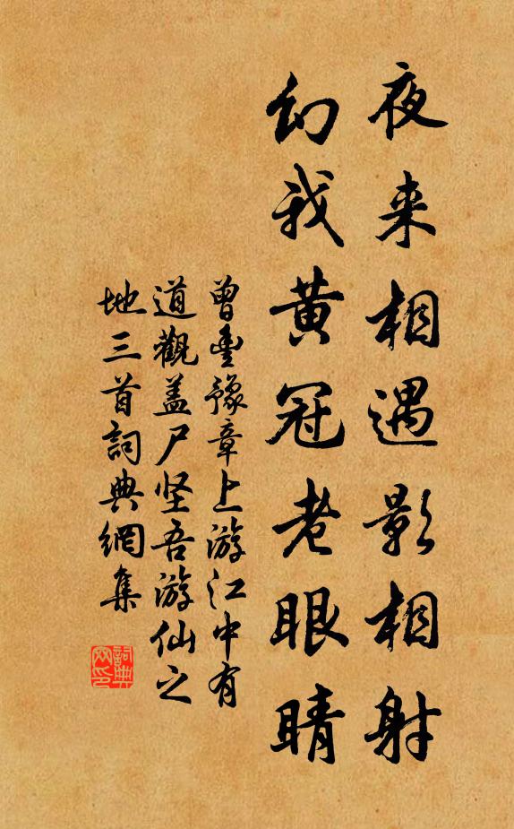 曾丰夜来相遇影相射，幻我黄冠老眼睛书法作品欣赏