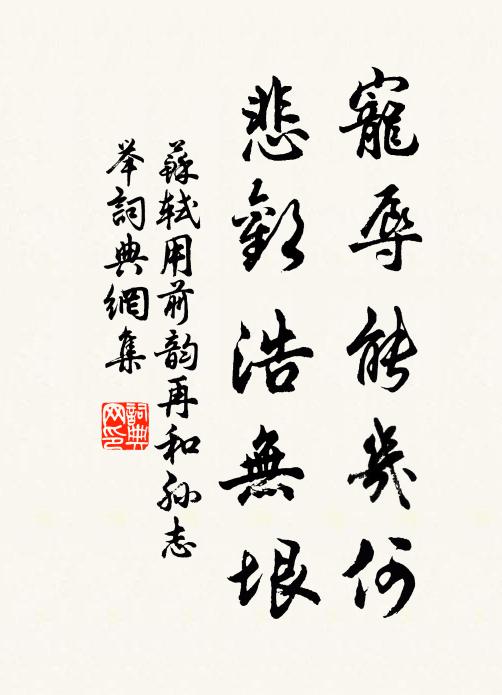 苏轼宠辱能几何，悲欢浩无垠书法作品欣赏