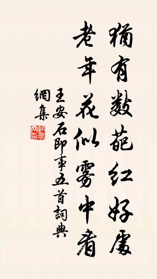 王安石犹有数葩红好处，老年花似雾中看书法作品欣赏