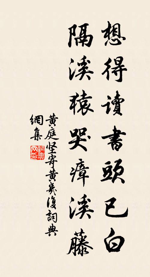 黄庭坚想得读书头已白，隔溪猿哭瘴溪藤书法作品欣赏