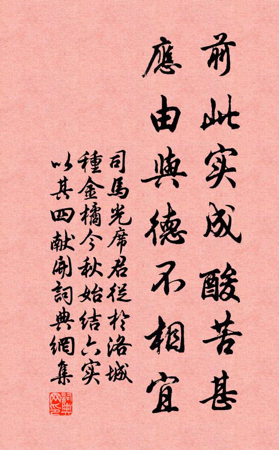 司马光前此实成酸苦甚，应由与德不相宜书法作品欣赏