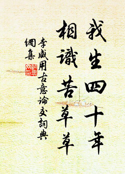 李咸用我生四十年，相识苦草草书法作品欣赏