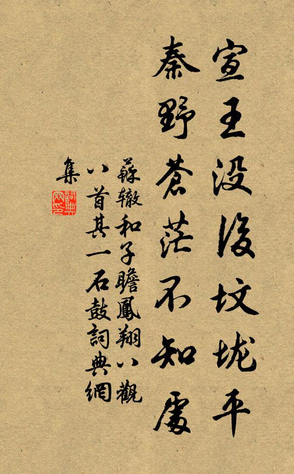 苏辙宣王没后坟垅平,秦野苍茫不知处书法作品欣赏