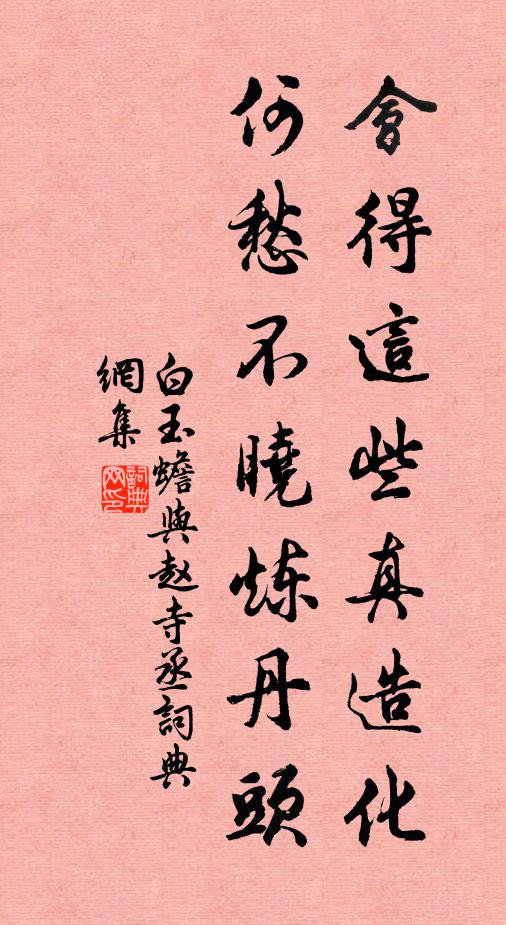 白玉蟾会得这些真造化，何愁不晓炼丹头书法作品欣赏